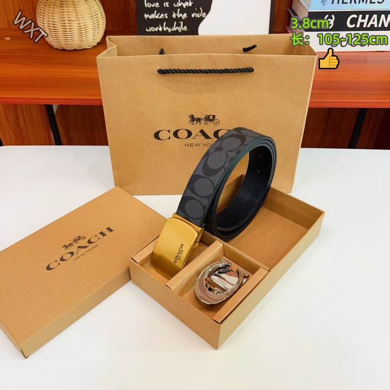 Coach belt 38mmX105-125cm 8L32